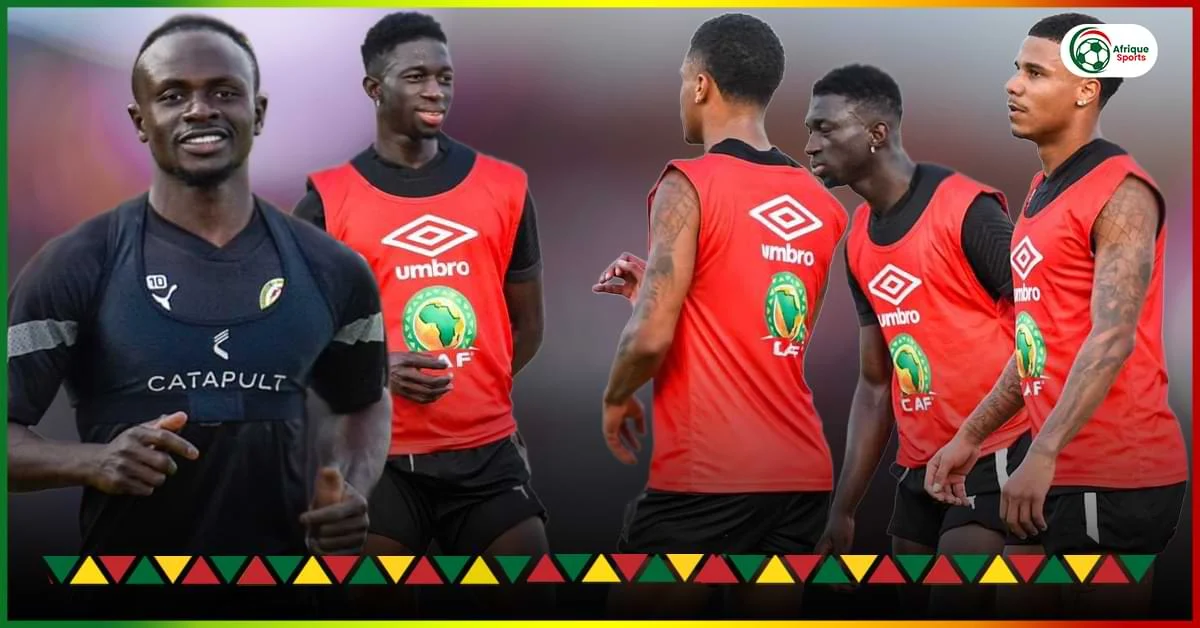 CAN 2023: Polémique autour de l’équipementier des Lions