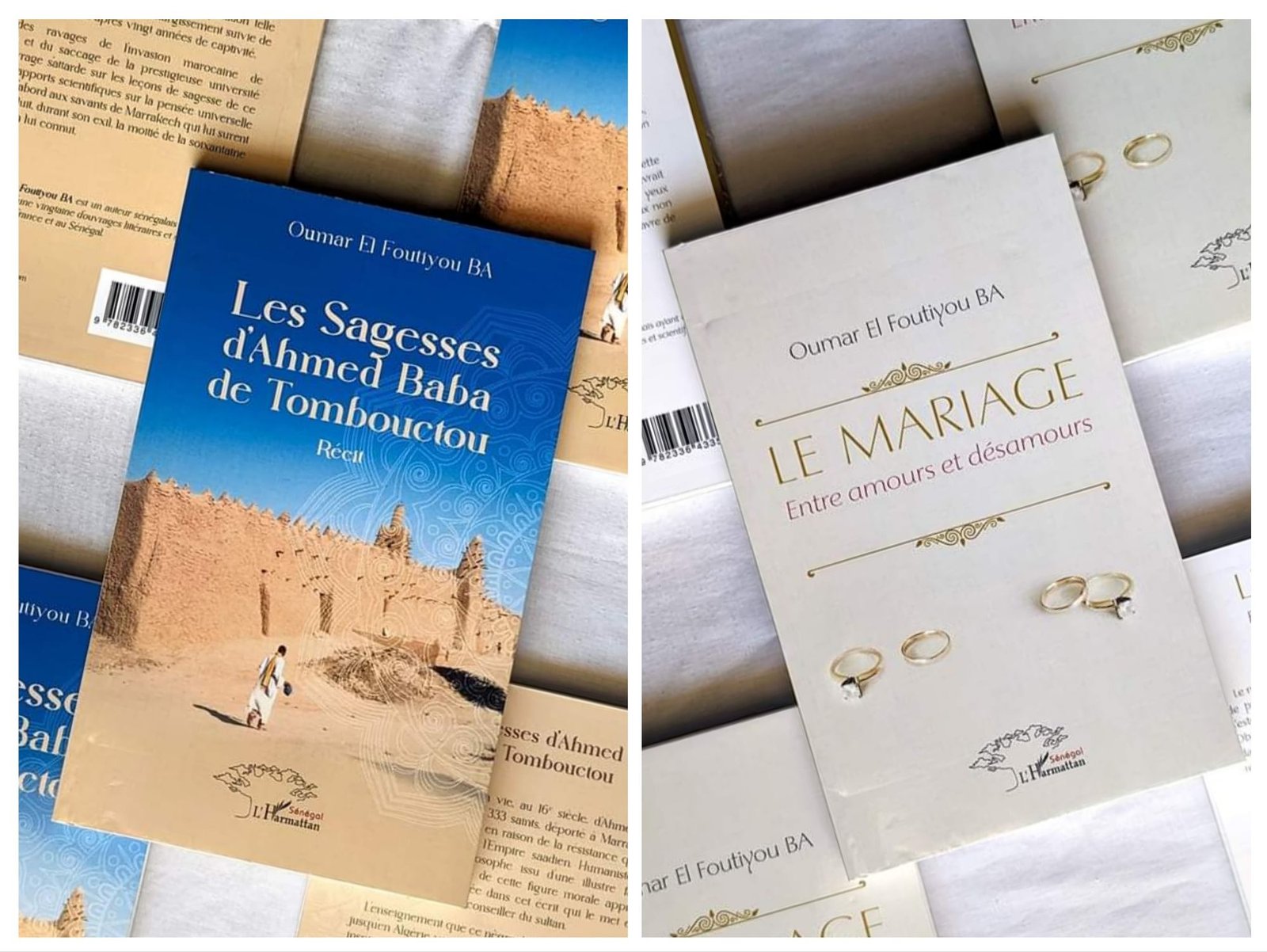 Deux Nouveaux Ouvrages Enrichissent la Bibliothèque de la Pensée Africaine – Sénégal Njaay – Senegal-njaay.com