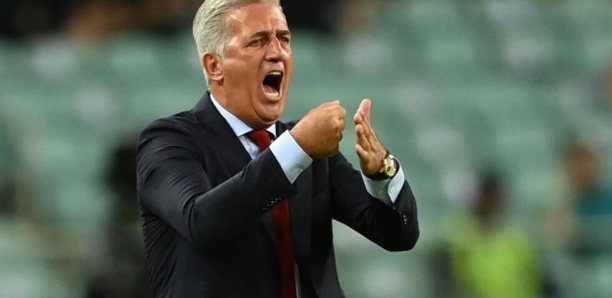 Algérie :Djamel Belmadi out, Vladimir Petkovic in