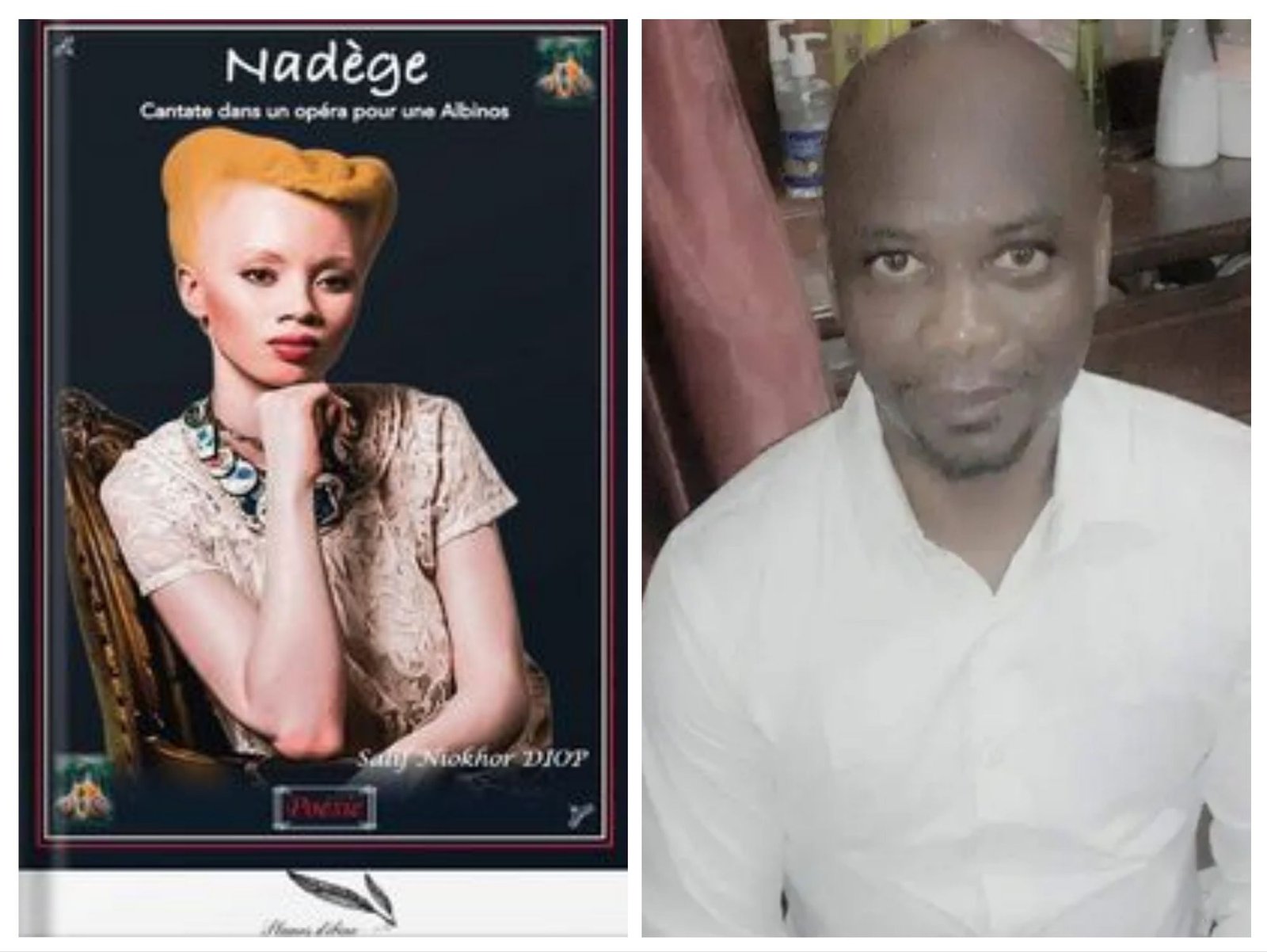 Un Plaidoyer pour l’Inclusion – Magazine Sénégal Njaay – Senegal-njaay.com