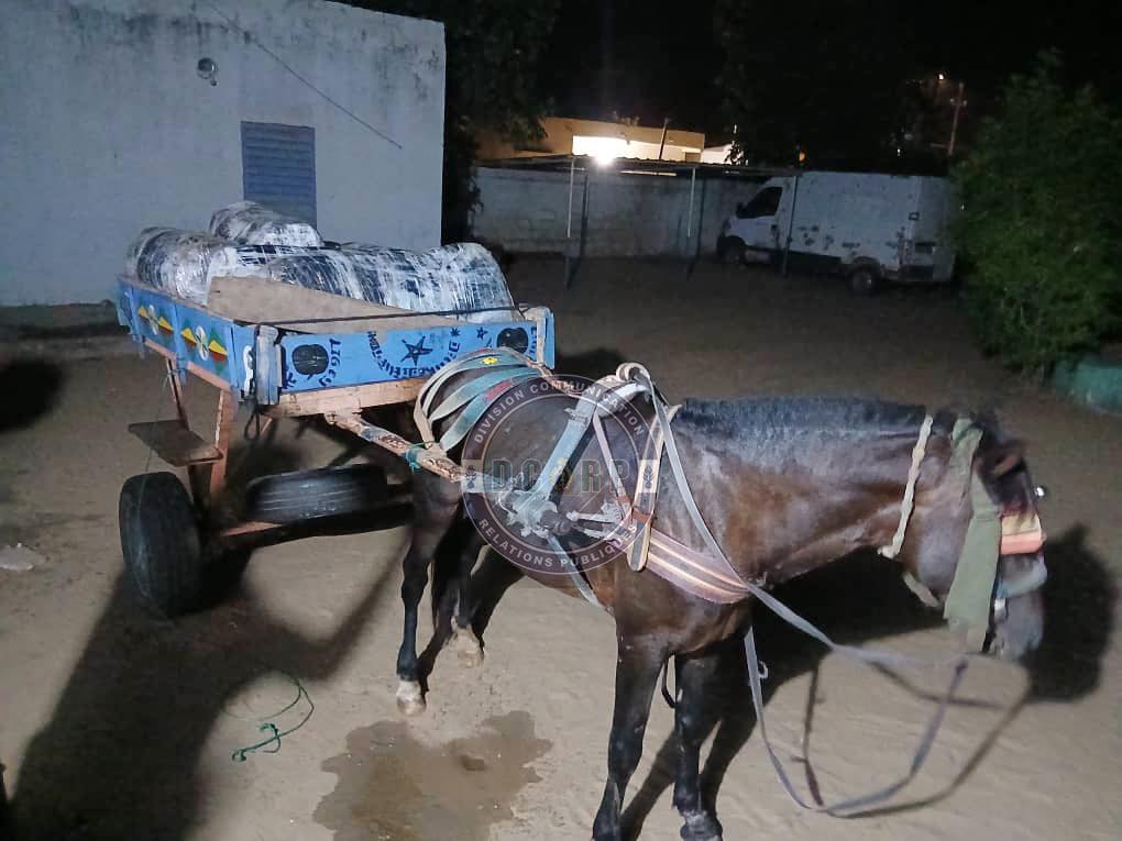 Sandiara : saisie de 175 kg de chanvre, le convoyeur en fuite