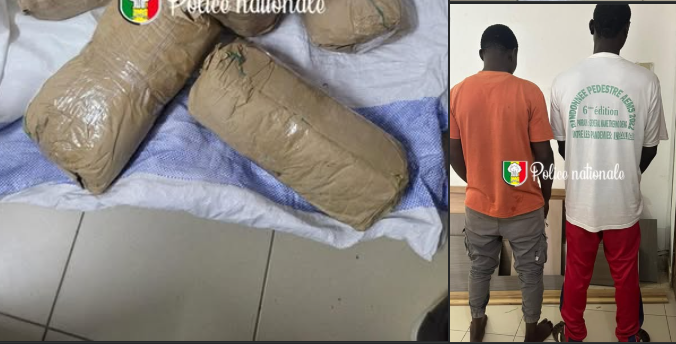 Dakar : un réseau de trafic de drogue démantelé à Yarakh, deux personnes arrêtées