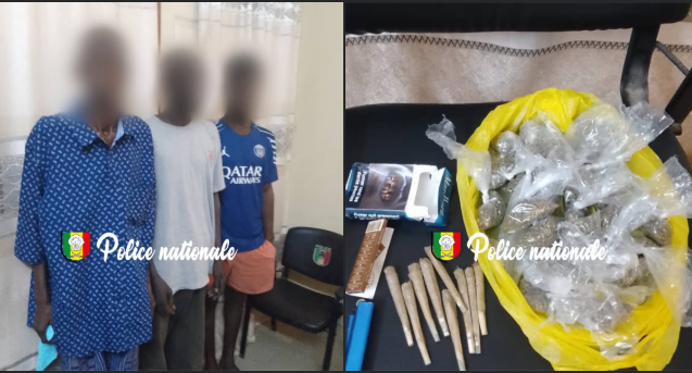 Fatick : 25 sachets et 9 joints saisis lors d’une opération de police