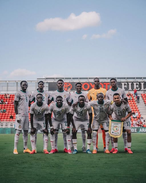 Les Lions perdent du terrain : le Sénégal chute à la 15e place mondiale